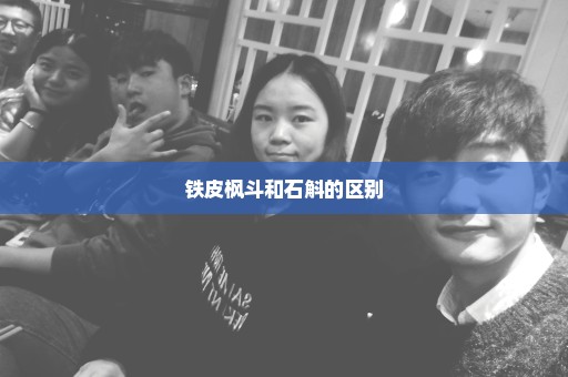 铁皮枫斗和石斛的区别
