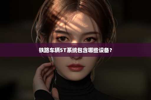 铁路车辆5T系统包含哪些设备？