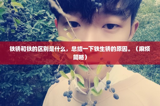 铁锈和铁的区别是什么，总结一下铁生锈的原因。（麻烦简略）