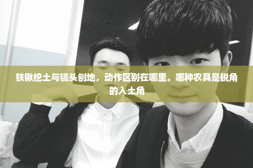 铁锹挖土与镐头刨地，动作区别在哪里。哪种农具是锐角的入土角