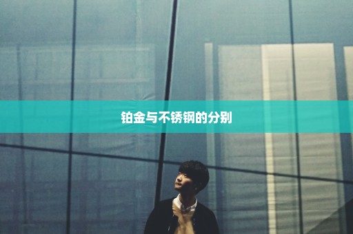 铂金与不锈钢的分别