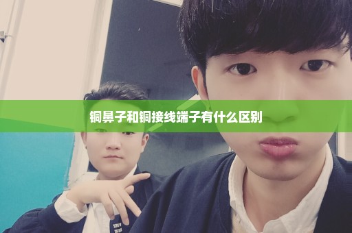 铜鼻子和铜接线端子有什么区别