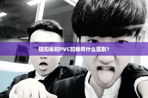 铝扣板和PVC扣板有什么区别？
