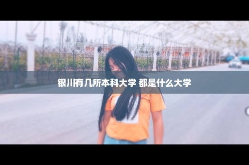 银川有几所本科大学 都是什么大学