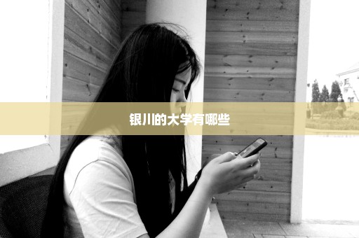 银川的大学有哪些