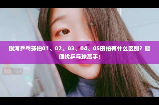银河乒乓球拍01、02、03、04、05的拍有什么区别？顺便找乒乓球高手！