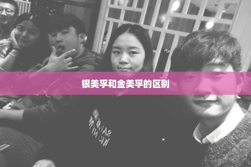 银美孚和金美孚的区别