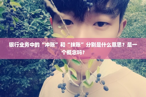 银行业务中的“冲账”和“抹账”分别是什么意思？是一个概念吗？