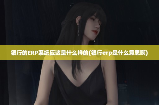 银行的ERP系统应该是什么样的(银行erp是什么意思啊)