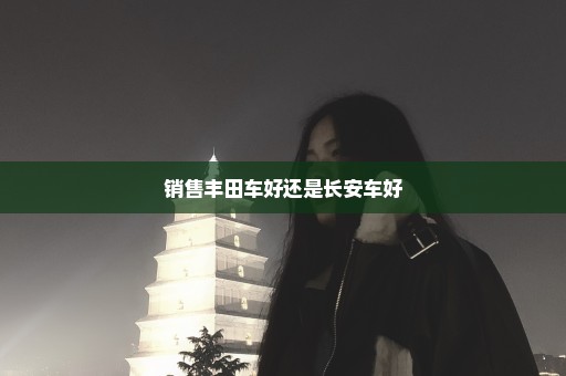 销售丰田车好还是长安车好