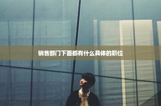 销售部门下面都有什么具体的职位