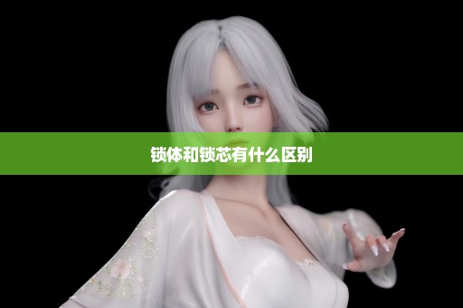 锁体和锁芯有什么区别