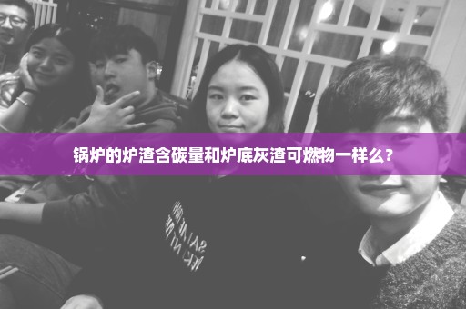 锅炉的炉渣含碳量和炉底灰渣可燃物一样么？