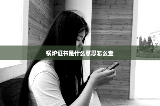 锅炉证书是什么意思怎么查