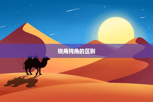 锐角钝角的区别