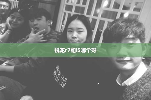 锐龙r7和i5哪个好