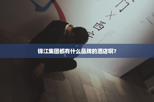 锦江集团都有什么品牌的酒店啊？