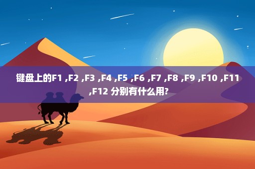 键盘上的F1 ,F2 ,F3 ,F4 ,F5 ,F6 ,F7 ,F8 ,F9 ,F10 ,F11 ,F12 分别有什么用?