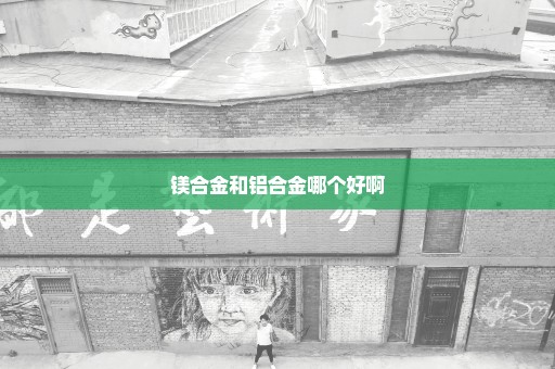 镁合金和铝合金哪个好啊