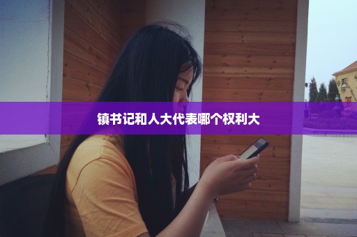 镇书记和人大代表哪个权利大