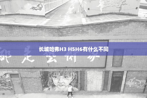 长城哈弗H3 H5H6有什么不同
