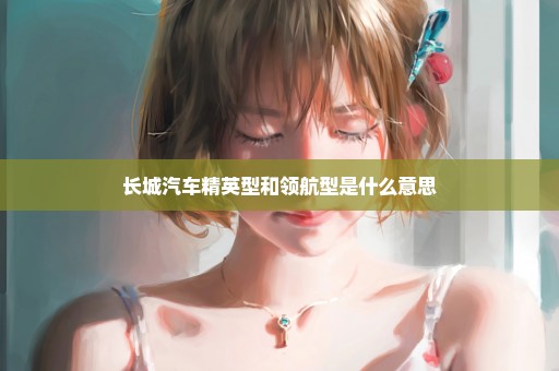 长城汽车精英型和领航型是什么意思
