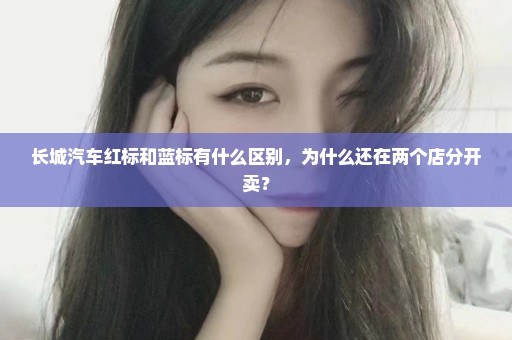 长城汽车红标和蓝标有什么区别，为什么还在两个店分开卖？