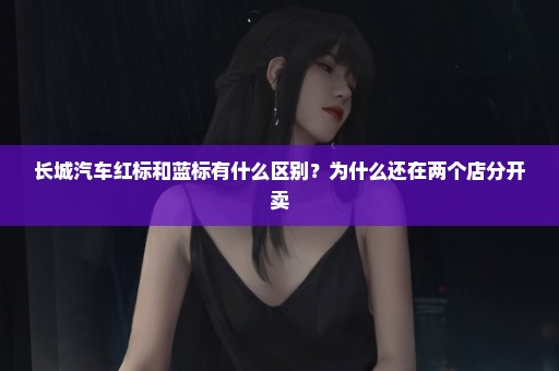 长城汽车红标和蓝标有什么区别？为什么还在两个店分开卖