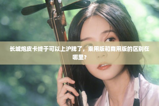 长城炮皮卡终于可以上沪牌了，乘用版和商用版的区别在哪里？