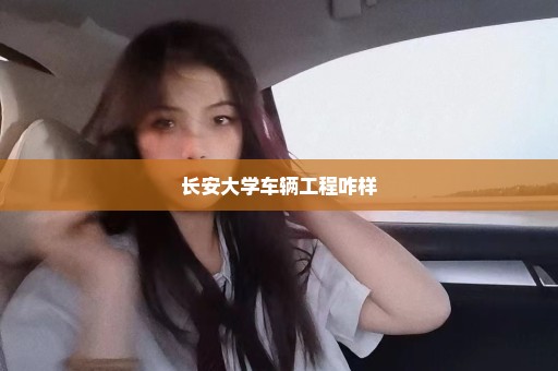长安大学车辆工程咋样
