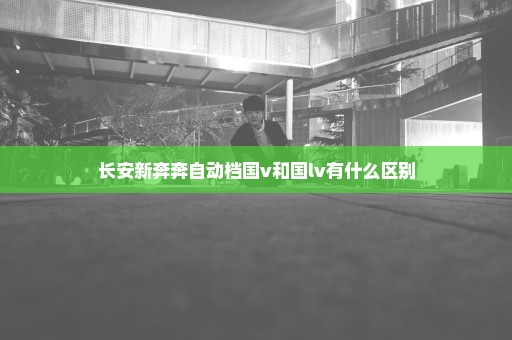 长安新奔奔自动档国v和国lv有什么区别