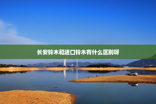 长安铃木和进口铃木有什么区别呀