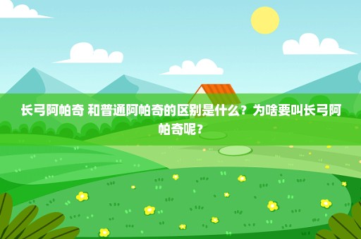 长弓阿帕奇 和普通阿帕奇的区别是什么？为啥要叫长弓阿帕奇呢？