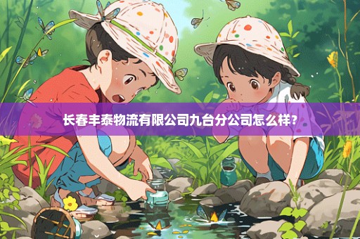 长春丰泰物流有限公司九台分公司怎么样？