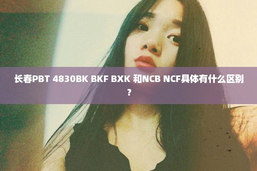 长春PBT 4830BK BKF BXK 和NCB NCF具体有什么区别？