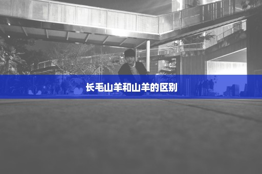 长毛山羊和山羊的区别
