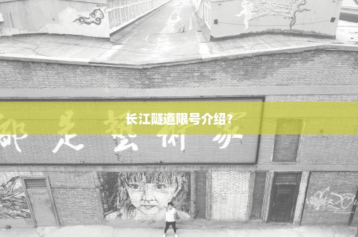 长江隧道限号介绍？