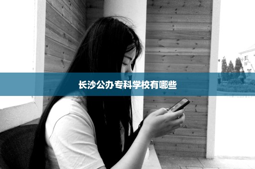 长沙公办专科学校有哪些