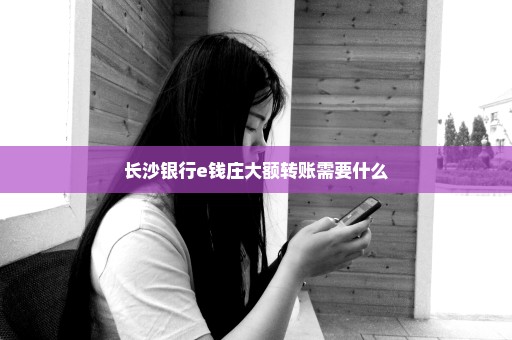 长沙银行e钱庄大额转账需要什么