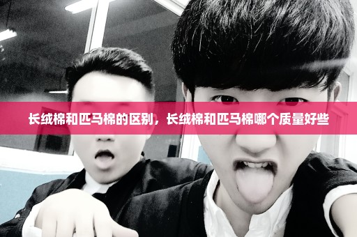长绒棉和匹马棉的区别，长绒棉和匹马棉哪个质量好些