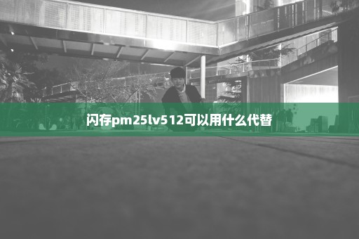 闪存pm25lv512可以用什么代替