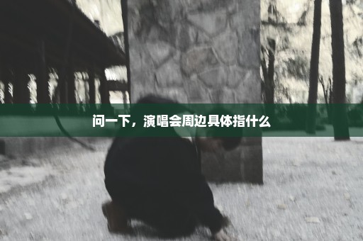 问一下，演唱会周边具体指什么