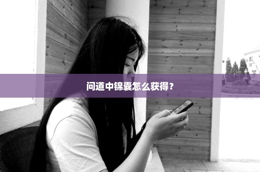 问道中锦囊怎么获得？
