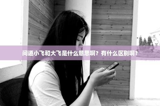 问道小飞和大飞是什么意思啊？有什么区别啊？