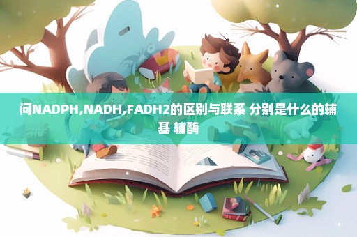 问NADPH,NADH,FADH2的区别与联系 分别是什么的辅基 辅酶