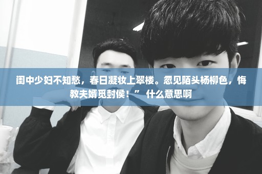 闺中少妇不知愁，春日凝妆上翠楼。忽见陌头杨柳色，悔教夫婿觅封侯！” 什么意思啊