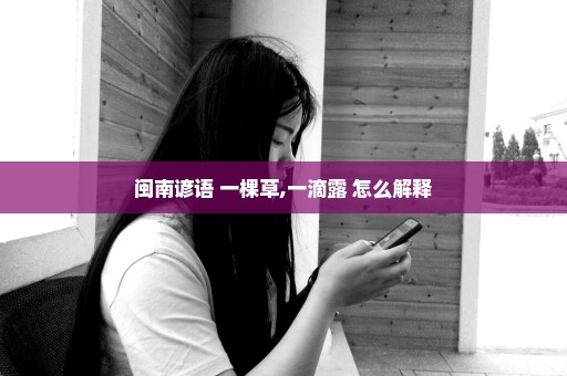 闽南谚语 一棵草,一滴露 怎么解释