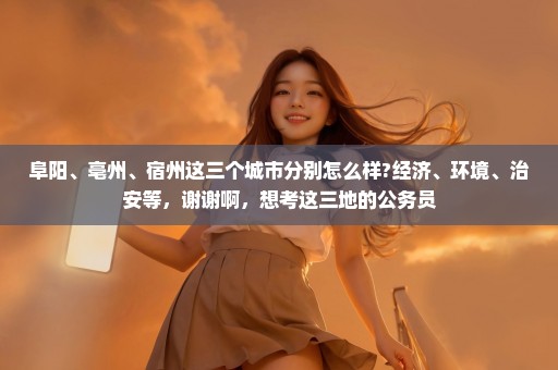 阜阳、亳州、宿州这三个城市分别怎么样?经济、环境、治安等，谢谢啊，想考这三地的公务员