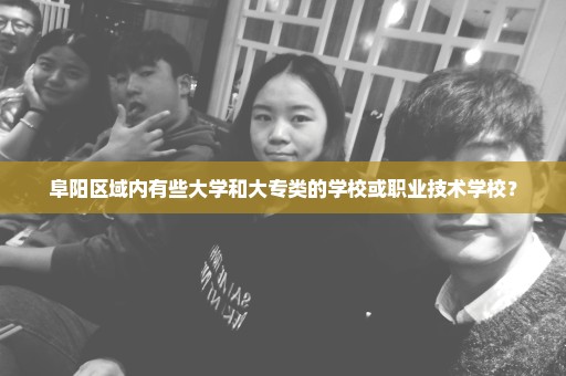 阜阳区域内有些大学和大专类的学校或职业技术学校？