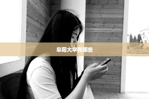 阜阳大学有哪些